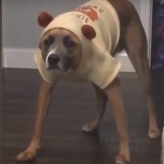 Stileex