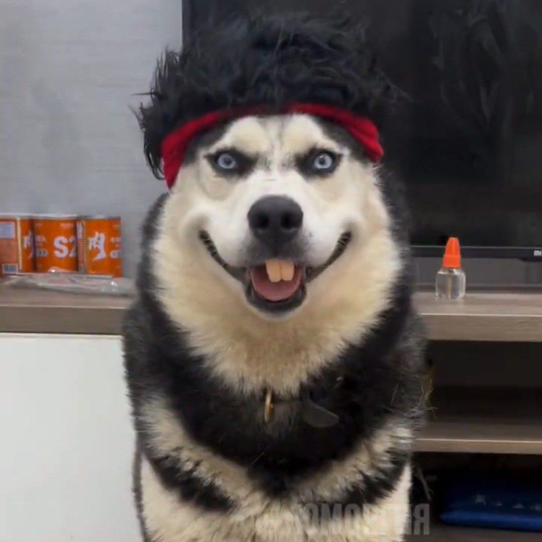 а тебя это ебать не должно