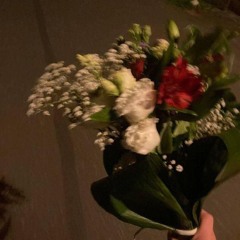 كريمة القصاص