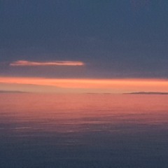 carl esprit bridgeman