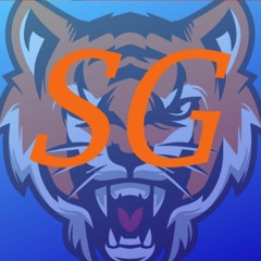 SG Motors
