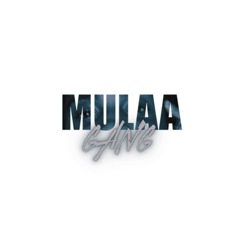 MuLaaGang’s avatar