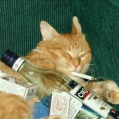 Кот Котеевич