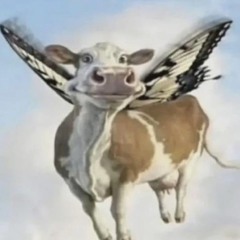 Suvfii