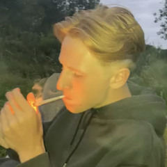 tibo