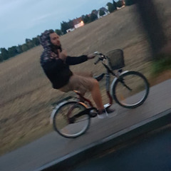 Niklas Wolf
