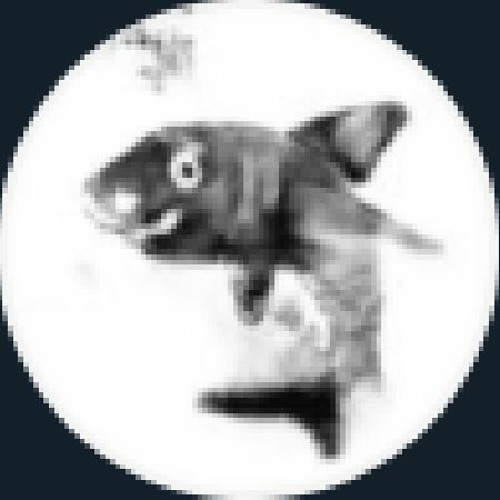 sharkusername2’s avatar