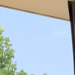 이가영