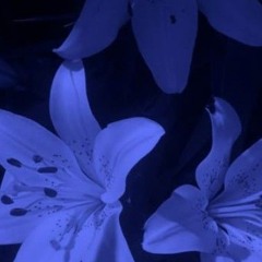 ƙꫀ᭢᭢ꪖᦔỉ