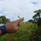 Izac