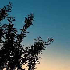 Jegr Media | (2023) - Ba Mn Bchma Qasm Xan - {~Þ~}