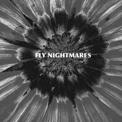 Fly Nightmares