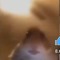 hamster war