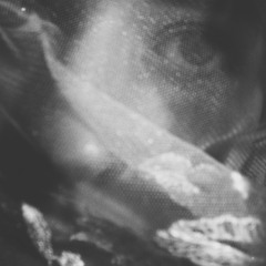 Lu