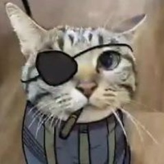 Loneranger