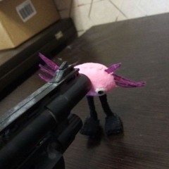 Otteomi
