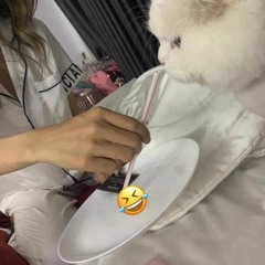 Trần Đức Poii