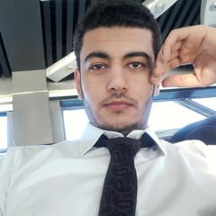 Ahmed Abdelmoati