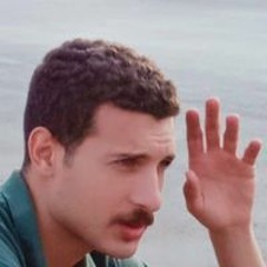 Mostafa E Fathy