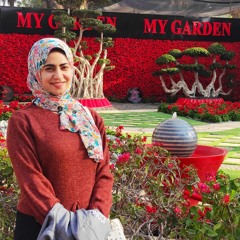 alaa mohamed