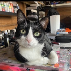 MitziPaint