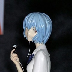 nozo