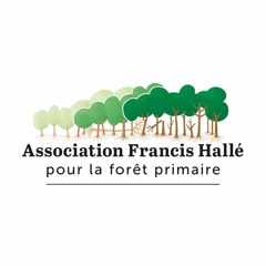 Association Francis Hallé