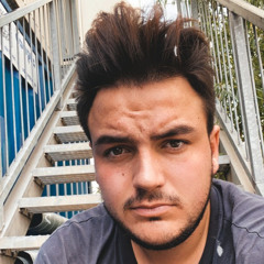 Jesse Mertens