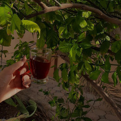 ساره
