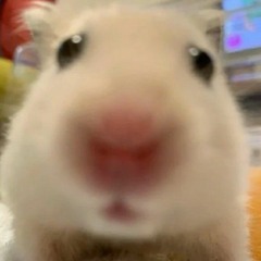 trich ＼(≧▽≦)／