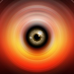 Total Perspective Vortex