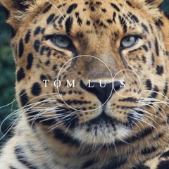 TOMLUIS