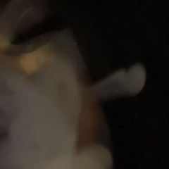ØD̷
