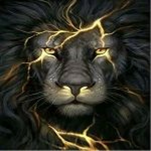 Lion_Media’s avatar