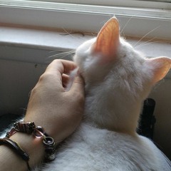 killz<3