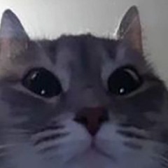 patty