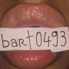 Bart0493
