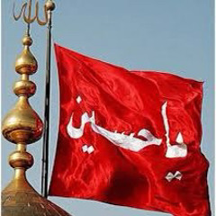 mohd