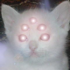 sleepydeity