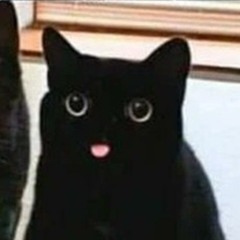 🖤BlepKitty🖤