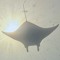 FastFlyingFox