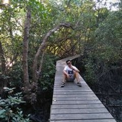 Andika Yasa