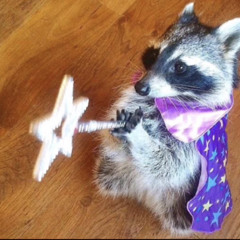 wizard101