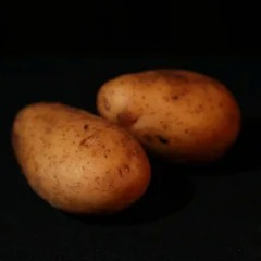zwei kartoffeln