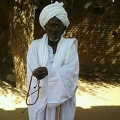Mohamed Almustafa Hassan