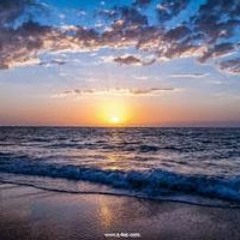 Roqya Mohmed