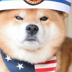 Bubbo