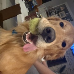 BallZack
