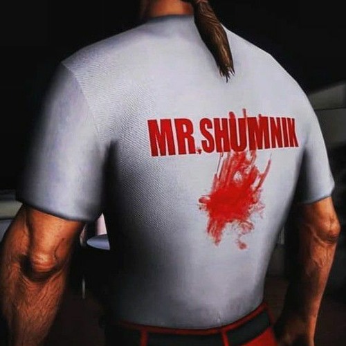 mr.shumnik’s avatar