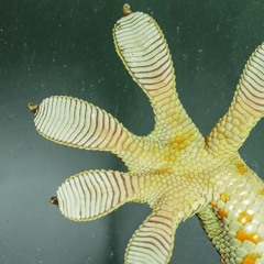 yongdriver ✺✺✺✺✺✺✺✺✺✺✺✺✺✺✺✺✺✺✺✺✺✺✺✺✺✺✺✺✺✺